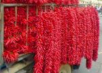 20000SHU Dried Chinese Chilis Vacuume Packing Spicy Chaotian / Tianjin Chilli