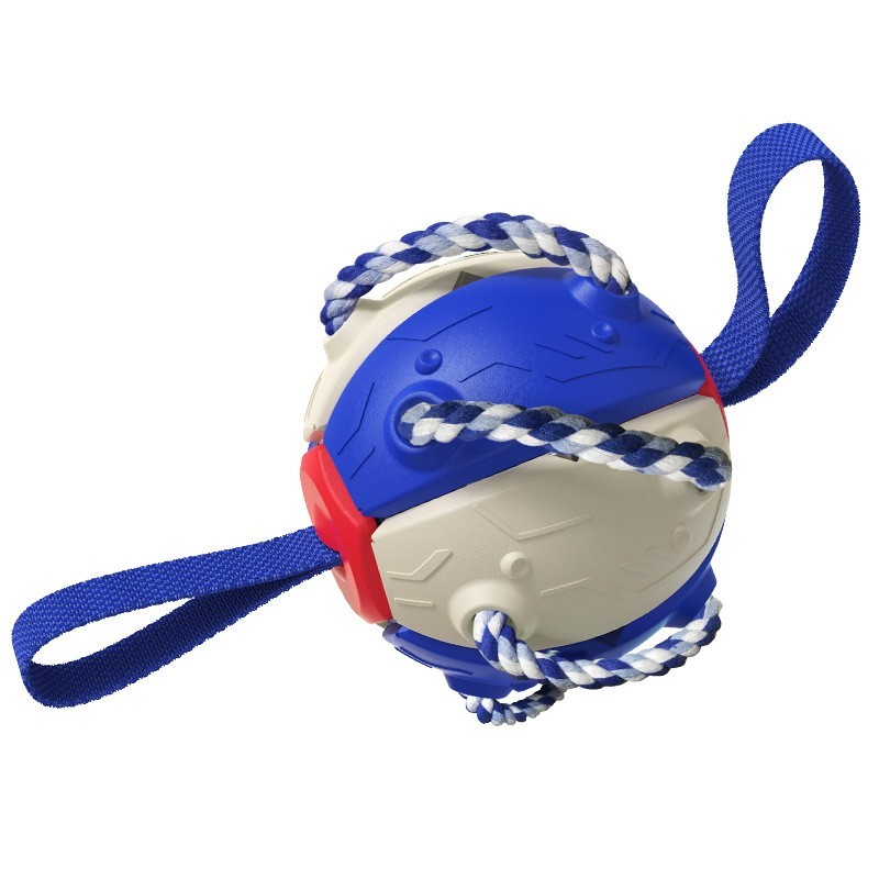 New Popular Amazon Outdoor Training Frisbee Interactive Football Dog Toy