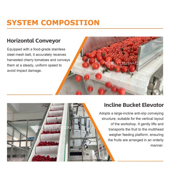 Speed Meets Precision: The Ultimate Small Fruit Packaging Solution