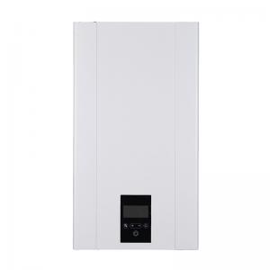 China Programmable Controls Wall Hung Gas Boiler Installation Type For Home Heating Solutions on sale