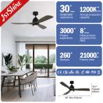 Decorative Fancy Dc Motor Silent Remote Ceiling Fan Led Light CE SAA