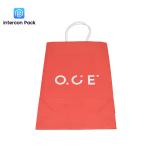 Offset Printing 16x6x12 Shopping Bags Twisted Handles Kraft Paper Bags With Logo