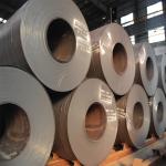 ASTM A36 PVDF Carbon Steel Coils 800mm SS400 S235 S355 St37 St52