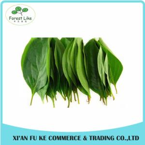 China Natural Persimmon Leaf Extract Powder 10:1 20:1 wholesale