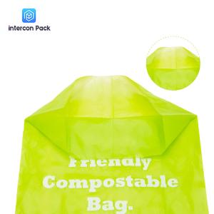 China Eco Friendly Plastic Packaging Bag 0.054mm Biodegradable Shopping Bag wholesale
