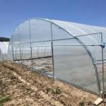 Hot-DIP Galvanized Steel Pipe Agricultural Film Hydropoinics Greenhouses