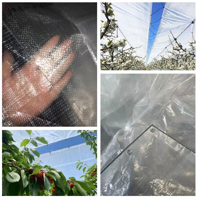 Transparent Agricultural Polyethylene Tarp With Strong Tear Strength 150N/50mm Warm Green House Woven Fabric