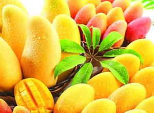 China 220L Aseptic Bag Packing Mango Pulp Production Line 2t/H wholesale