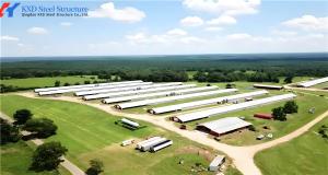 China Broiler Poultry Prefab Houses Steel Structure Fully Automated Chicken Farming Equipment wholesale