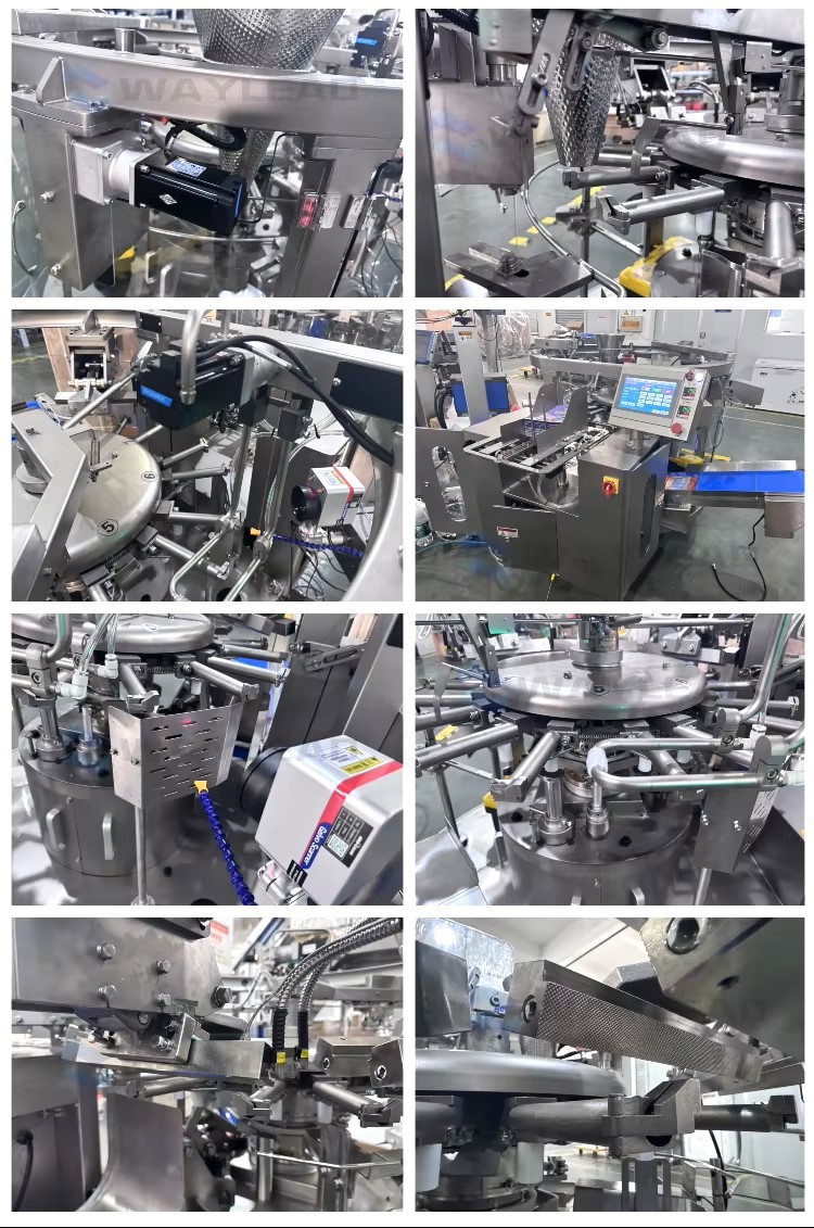 Shaped pouch packing machine for food processing plants