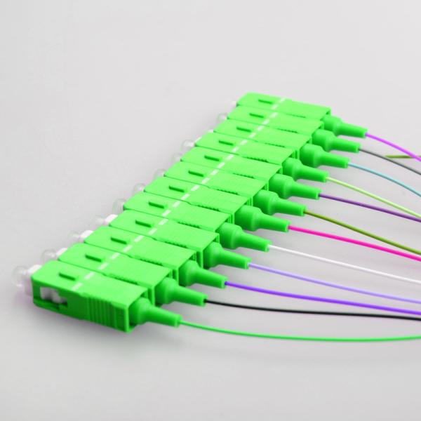 12 Strand SC APC Optical Fiber Pigtail 900 Micron Tight Buffer For Telecommunication