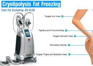 China 4 Handles Fat Freezing Cryolipolysis Body Slimming Machine For Weight Loss / Cellulite Reduction wholesale