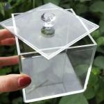 Custom Printing Clear Acrylic Plastic Boxes , Jewelry Storage Box For Organizing