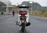 High Speed Super Cub 50CC -110CC 710mm Seat Height 95KG Net Weight