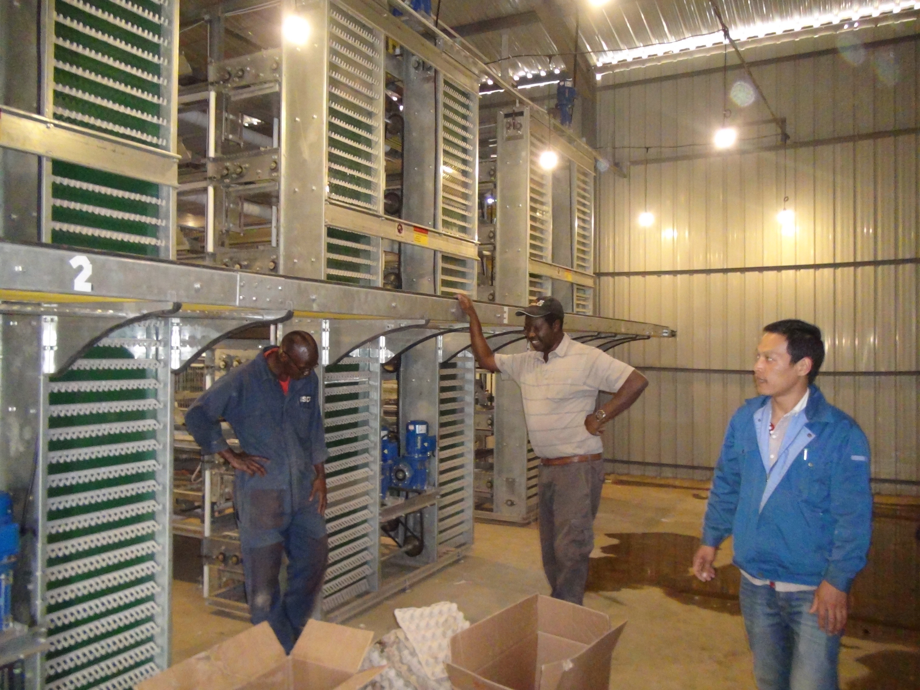 Welded Wire H Type Layer Chicken Cage Q235A Galvanized 2mm Chicken Farm Cage
