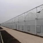 Hydroponics Irrigation System for Strawberry/Flowers/Vegetables Multi-Span Frame