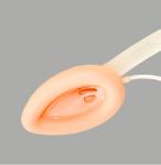 Reusable Nasopharyngeal Airway Laryngeal Mask For Children