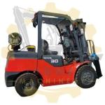 4000 kg Weight 2 2.5 3.0 3.5 ton LPG/gasoline forklift truck for Industrial