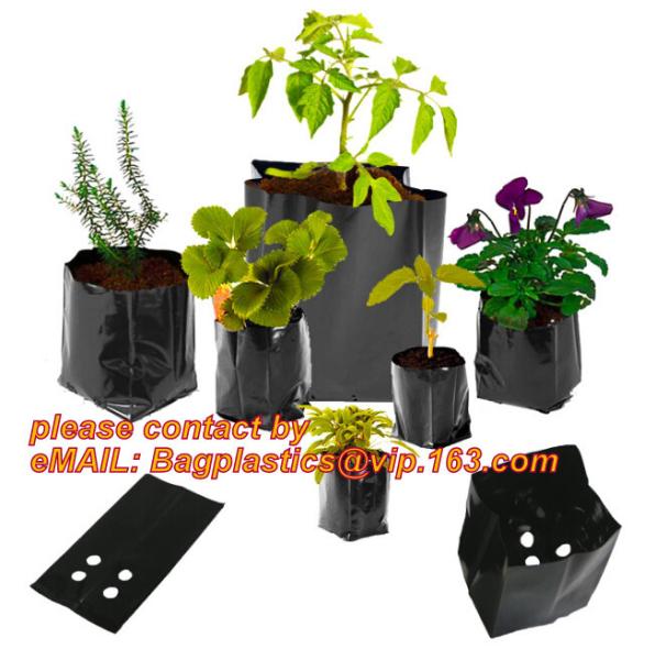 Poly Planter, Grow Bag, garden bags, grow bags, hanging plant bags, planters,