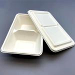 100% Biodegradable Disposable Dinnerware Compostable Sugarcane Food Container