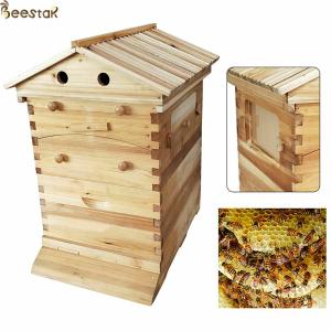China Beehive Apiculture Beekeeping Equipment Automatic Self Flowing for Beekeeping wholesale