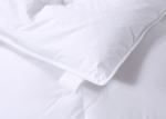 SGS 60x60s Hotel Luxury 70% Duck Feather Quilt