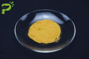 China No Mildew Natural Fruit Powder 8.0% Ash 80 Mesh Ginger Tea Powder wholesale