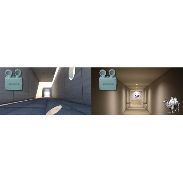 Double Head Waterproof IP65 Outdoor Indoor Long Duration Time Rechargeable Non Maintained Rechargeable Battery Warmming Exit Sigh LED Emergency Light