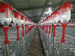China Automatic Piggery Farm Equipment 45mm Dia Disc Chain Feeding Hog Barn Supplies on sale