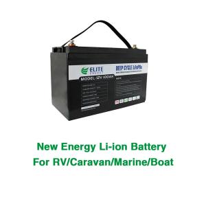 China 1280Wh 12V 100Ah LFP lifepo4 caravan battery Pack Optional Bluetooth wholesale