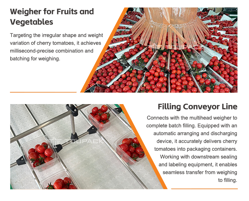 Speed Meets Precision: The Ultimate Small Fruit Packaging Solution