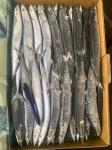 2# BQF Frozen Pacific Saury Fish With High Protein