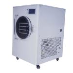 Vertical Factory Price Freeze Dryer 110 V Food Factory