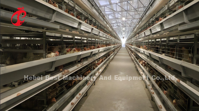 Galvanized A Type 120 Chicken Layer Battery Cage System Multilayer Doris