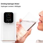 3000ppb Hydrogen Rich Water Machine RO Water Purifier Regulate Gastrointestinal