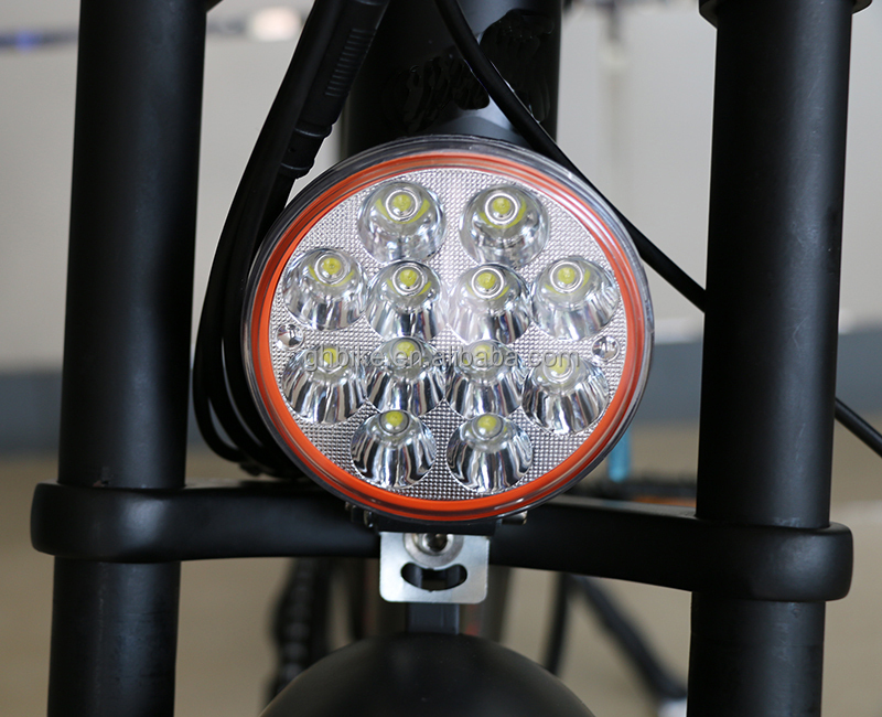 Disc Brake 20 Inch 750w 1000w Dual Battery Electric Fat Tire Mountain Bike Vintage 2 Seat Beach Cruiser Max 50KM/H ebike