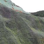 PP PET Geobag 810mm*410mm for Slope Protection and Greening in Construction