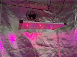 240Watt Seoul 395nm Osram 730nm Tent 3x3 Led Grow Light