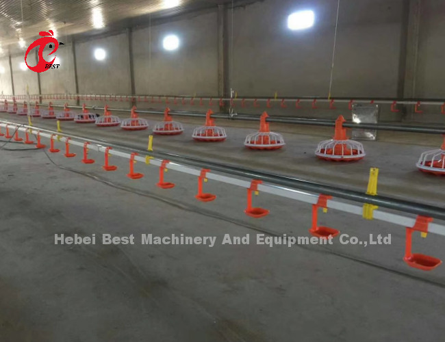 Broiler Poultry Farming 45 Chicken Feeding Line Drinking Line Automatic Equipment Rose