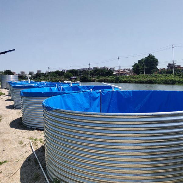 Outdoor Indoor Flexible Water Tank Recirculating Aquaculture System Tilapia Fish