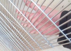 China high-security anti-climb/anti-cut 358 wire mesh fencing for sale wholesale