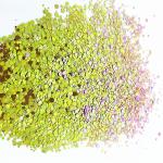 Chameleon Color Changing Glitter for Eye Face Crafts Nails Mix of Chunky Color