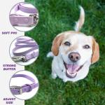 Amazon hot sale anti-fouling and waterproof PVC dog collar and leash set for
