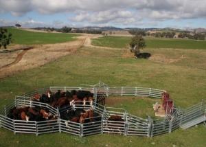 China 40x80mm Oval Tube Livestock Fence Panels Galvanized Corral Farm Equipment wholesale
