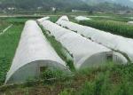 Lightweight Agriculture Non Woven Fabric Various Colors Available