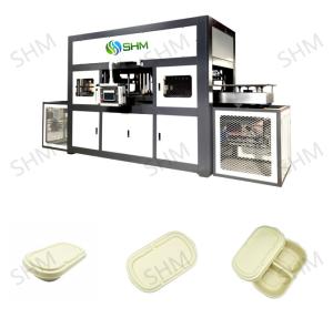 China Biodegradable Pulp Molding Tableware Machine Disposable Dish Line wholesale