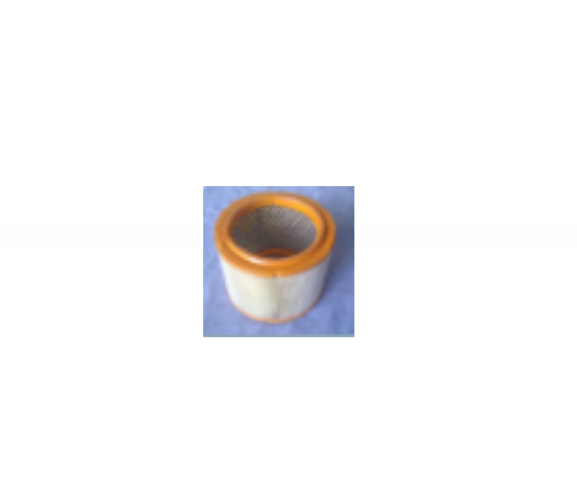 Air Filter for Peugeot/Citroen 1444.84 1444.A0 C17278 1310636080 C1480 1444.A5 1444.A6 9650367680 9650366480 1444 EZ