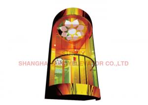 China Titanium Gold Mirror Acrylic Lighting Decoration VVVF Panoramic Elevator wholesale