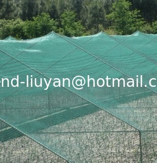 Green Agricultural Insect Netting Uv Resistance Anti Insect Mesh 100m