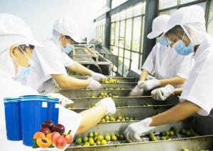 China Food Grade Equipment Used In Fruit Juice Processing Juice Concentration wholesale
